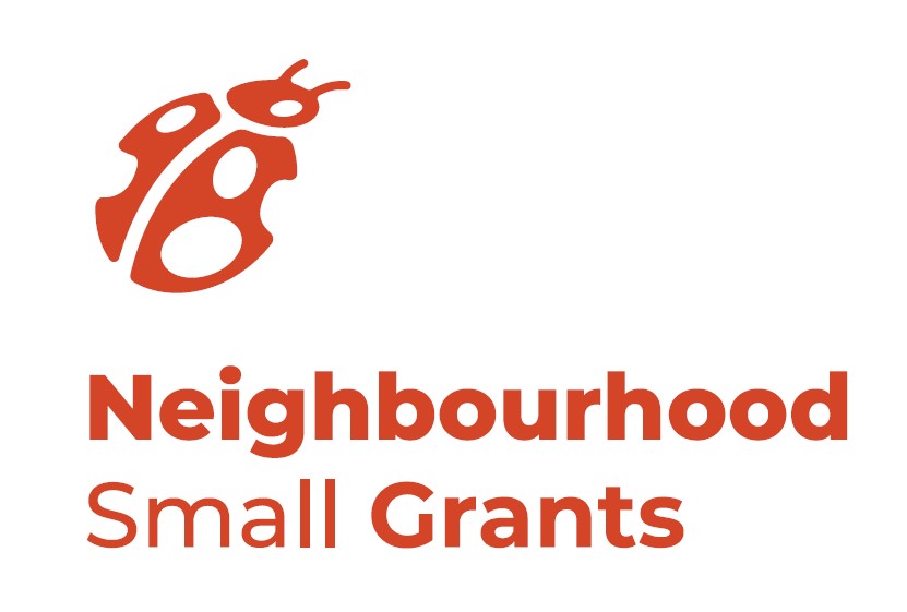 NSG Logo